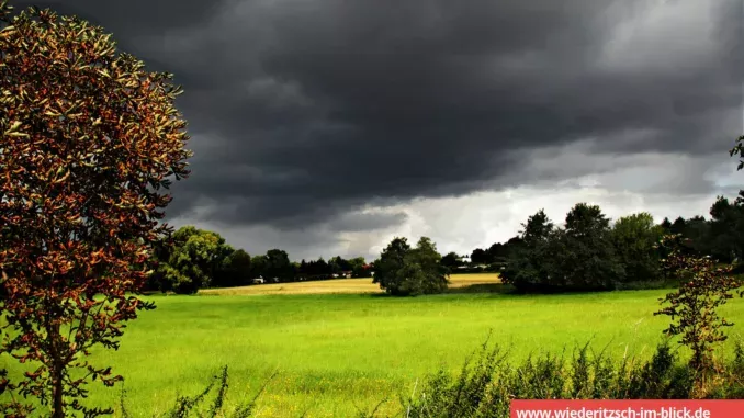 Wiederitzsch Impressionen - 18.08.2014 (c) Wiederitzsch-im-Blick.de | D. Euler