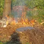 Brandstiftung in Wiederitzsch | Foto: privat