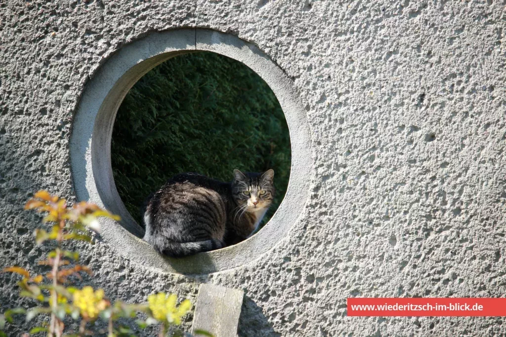 Google Wo Bin Ich Gerade Wo bin ich gerade in Wiederitzsch?