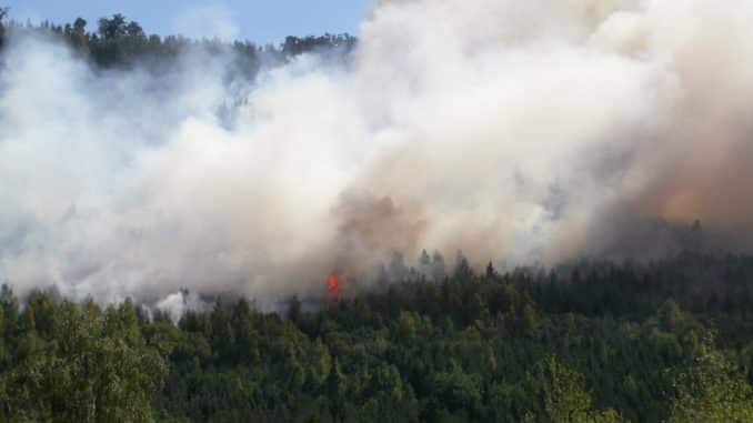 Waldbrand (Symbolbild)